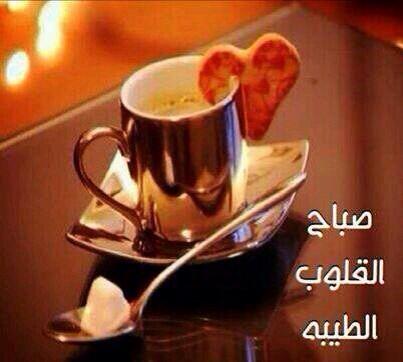 AlfahdF89's tweet photo. http://t.co/Uu4LpYmtuY