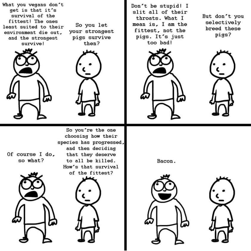 rachelbellworld's tweet image. #farm365 #farmerlogic #nologic #GoVegan