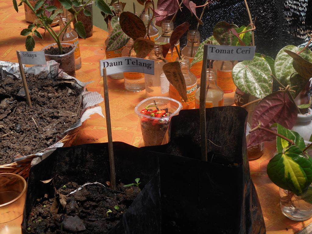 Menanam adalah Melawan.Yuk merapat ke Kebun Belakang @mampangcorner, ada bibit lokal siap tanam lho. #TerminalBenih