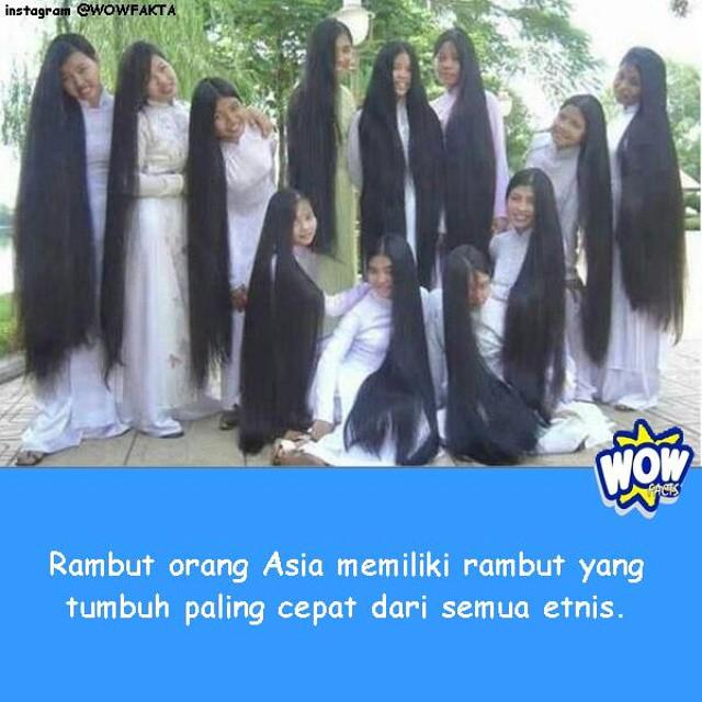 kontenwow tweet picture