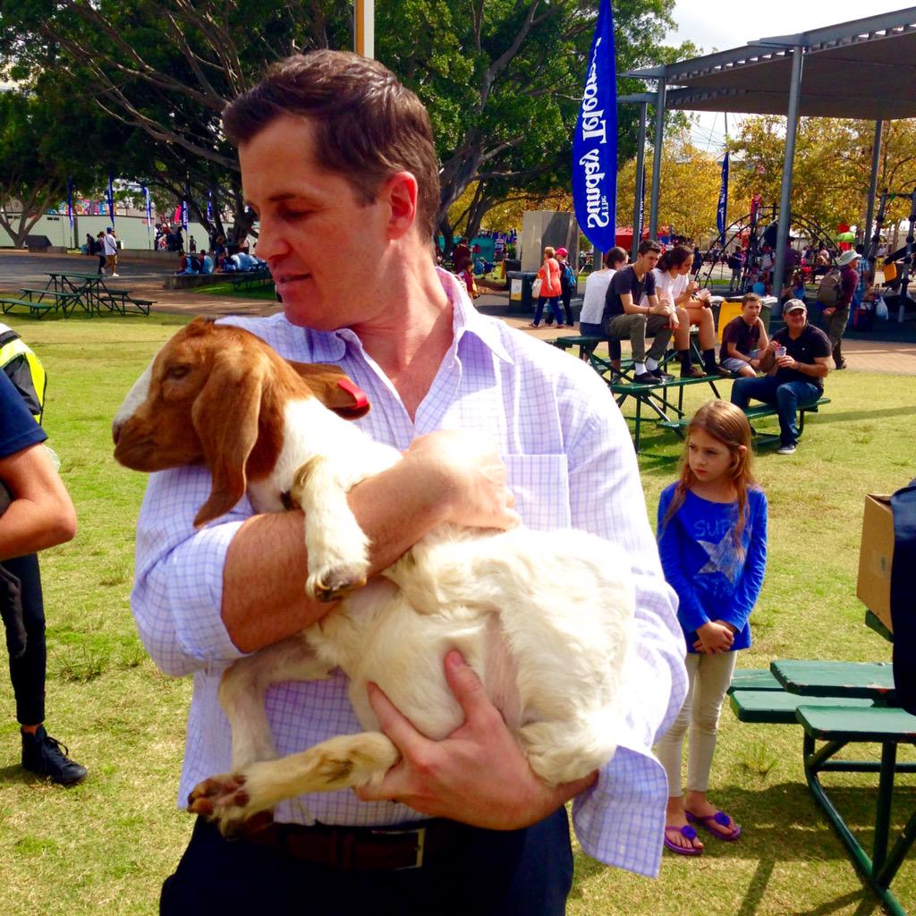 ryanphelan_tv's tweet image. One of the perks of @eastershow and the #7live experience... Goats!! 🐐🐐🐐