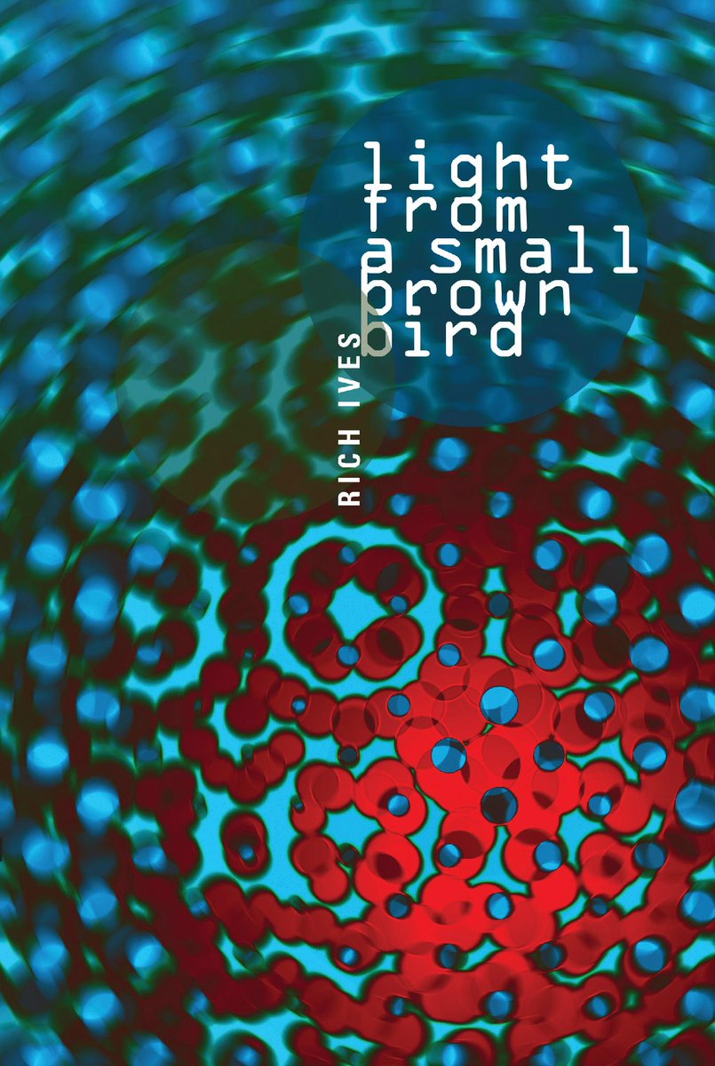 Rich Ives' Light from a Small Brown Bird is reaching out from THE BOP just in time for the Festival of the Birds.