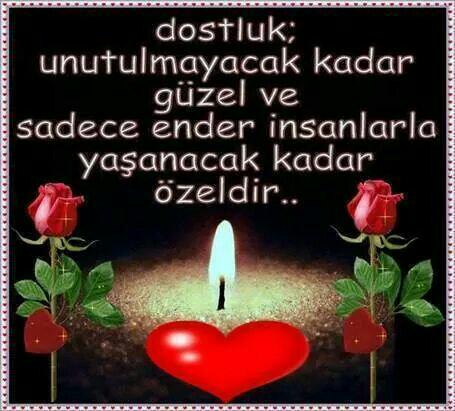 Ramazan Tatlıci (@2a86710205f448d) on Twitter photo 
