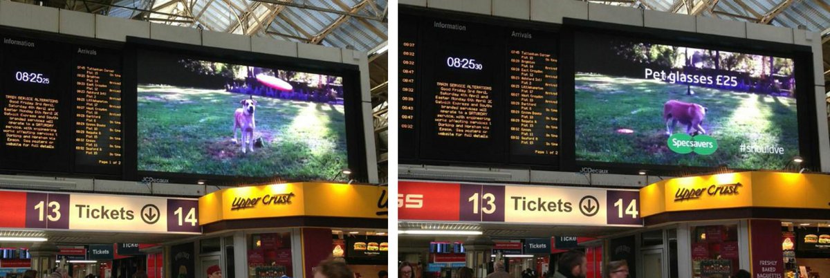 TalonOOH's tweet image. Nice #AprilFools use of digital OOH by @Specsavers on Transvision screens. Pet Glasses! @MGOMD @JCDecaux_UK