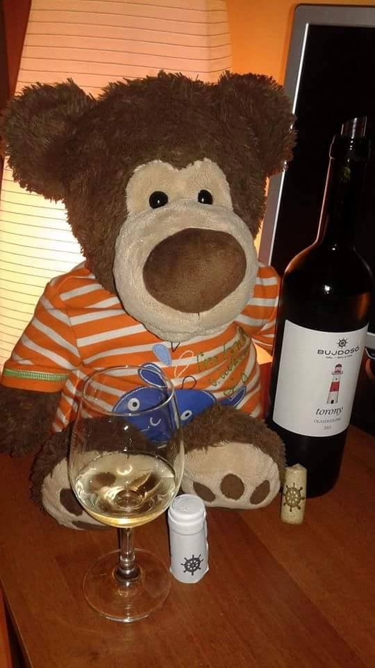 Tomek198708's tweet photo. #Bujdosó #torony #tower #Balaton #Délbalaton #olaszrizling 2013 #BestBuy 5€ substantial m-body fine @WineofHungary http://t.co/M8Iz03aB0j