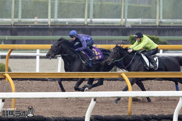 競馬ラボ 産経大阪杯 ユタカ納得の11秒8 キズナ 勝たなくてはいけない馬 Http T Co Ozxogbef5q コメントの端々からも自信と責任が感じられますね 競馬 Keiba 産経大阪杯 Http T Co 68zotox3i4