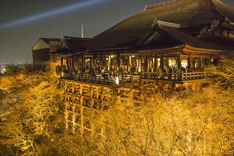 InsideJapan's tweet image. Beautiful blossom lightup at Kiyomizu temple #Kyoto  on #SpringElegance tour
@Visit_Japan @experiencejapan @Muzachan