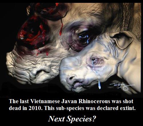 Protect_Wldlife's tweet photo. "Next Species?" - Something To Think About!! Excellent artwork by @HongVina #SaveTheRhino #Rhino #FightForRhinos http://t.co/5W2aBXmydx
