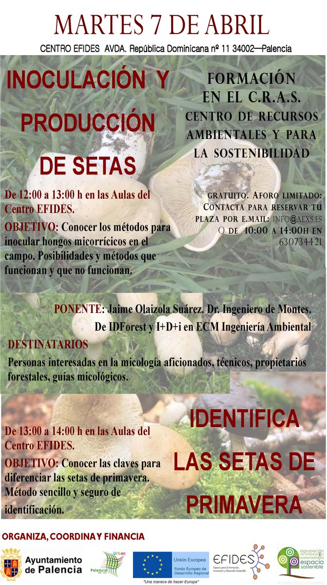 7/04 Inoculación y producción de #setas, Jaime Olaizola vía <a href="/AEmpresasXS/">AEXS</a> #micología  <a href="/IDForest/">IDForest</a> #Palencia
