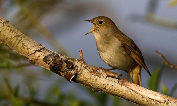 Guardian B2B tweet media