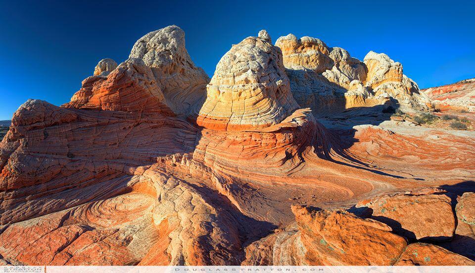 DStrattonPhoto's tweet image. Jurassic Lands.Twisting multi-color striations of white, yellow, red, and orange Sandstone that look like brains.