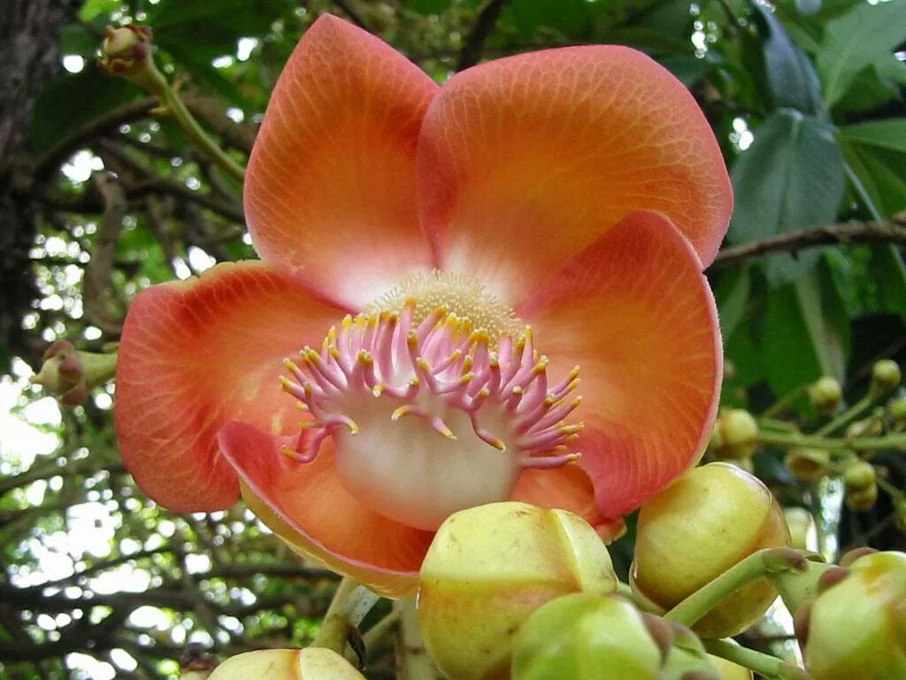 angelaa318's tweet photo. @vivival1 @M50manuM @yaditabad @yakiyaki94 @Dayen26 @850Deyii @Yve_3333 @shaker_michel @Africa_Siempre @FWidowat http://t.co/hVJgFkERqz