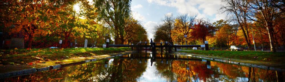 OutsiderEditor's tweet photo. Sat 25 April 2015 is set for the voluntary clean-up of Dublin’s Royal and Grand Canals. http://t.co/OtdJGsS1Te http://t.co/jtqQFkbuR1