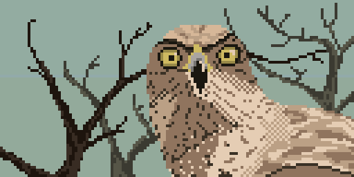 Embedded image permalink