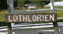 LothlorienTRC's tweet photo. Check out Lothlorien on Time Warner Cable News
http://t.co/3xWEB3PcDP http://t.co/cN2lovuCtH