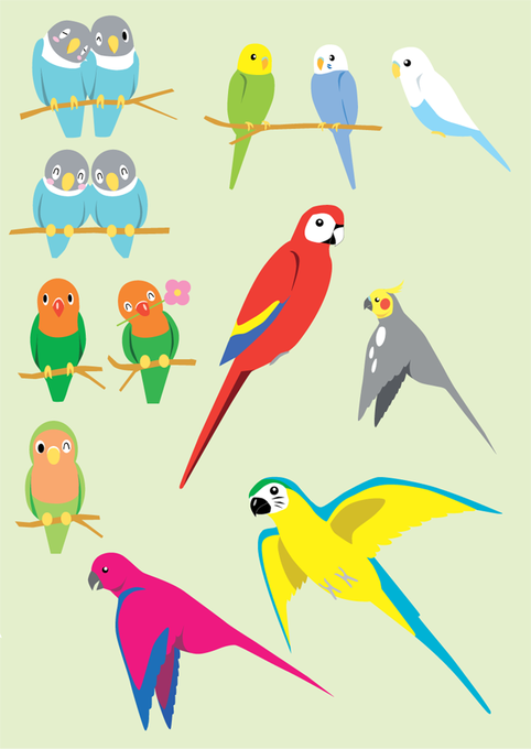 インコのイラストのtwitterイラスト検索結果 古い順 インコのイラストのtwitterイラスト検索結果 古い順