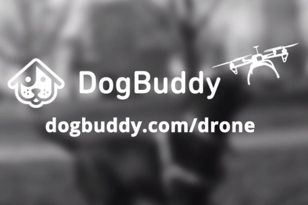 <a href="/DroneBlogUK/">Drone Blog</a> Drones are now walking our dogs!? #DoggyDrone 🐕🚁 dogbuddy.com/drone