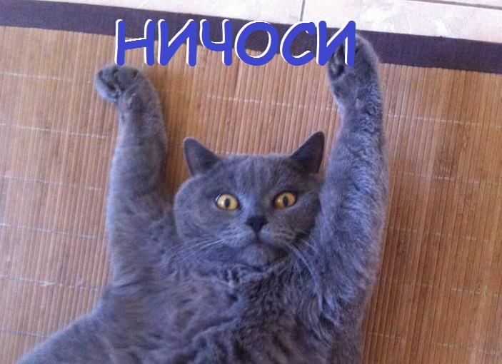 НИЧОСИ что #vk придумал на 1 апреля ))