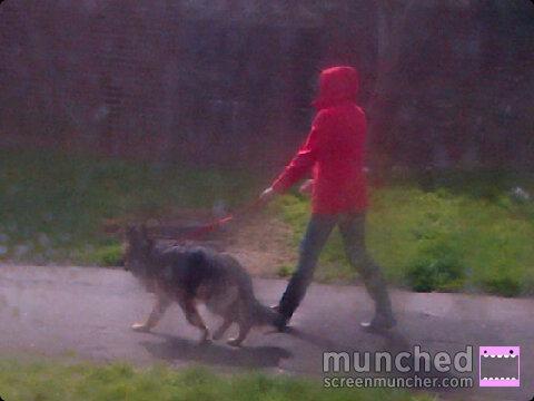 leonontour2014's tweet photo. Look who just passed my window ! Little miss red riding hood and her big bad woolf ! Pmsl http://t.co/PybkRhDXI2