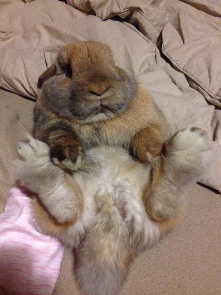 mandydem13's tweet photo. When you see the significant other after a long day http://t.co/4GE1baOIt1