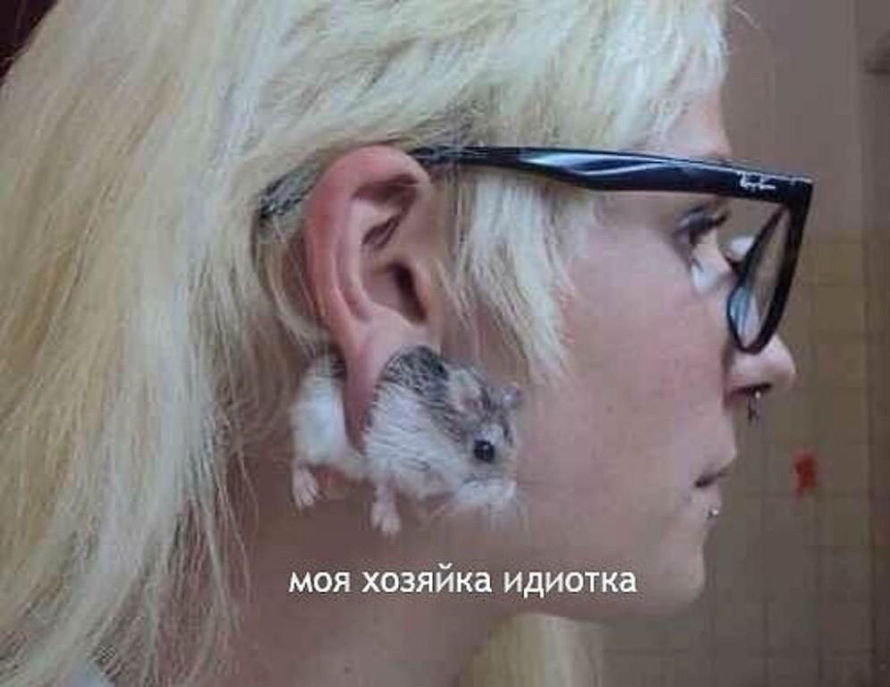 CBgLoRNUcAAPRkg.jpg:large