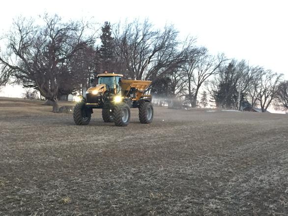 Spreading nitrogen on wheat #agri-turf