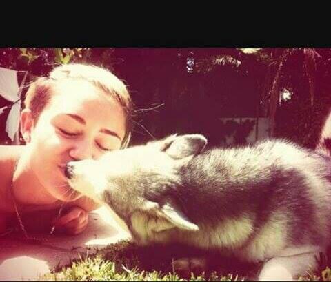 Smilers_es's tweet photo. Hoy hace un año de la perdida de Floyd #RIPFloydCyrus http://t.co/djnqYbtNib