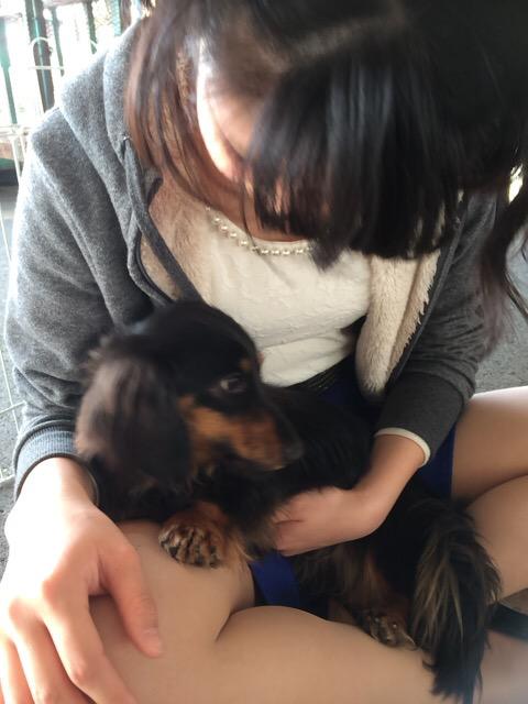彼女と行きたい 大阪で動物とふれあえるデートスポットは Maple Board