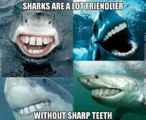 UrmanAlex's tweet image. Laughing sharks