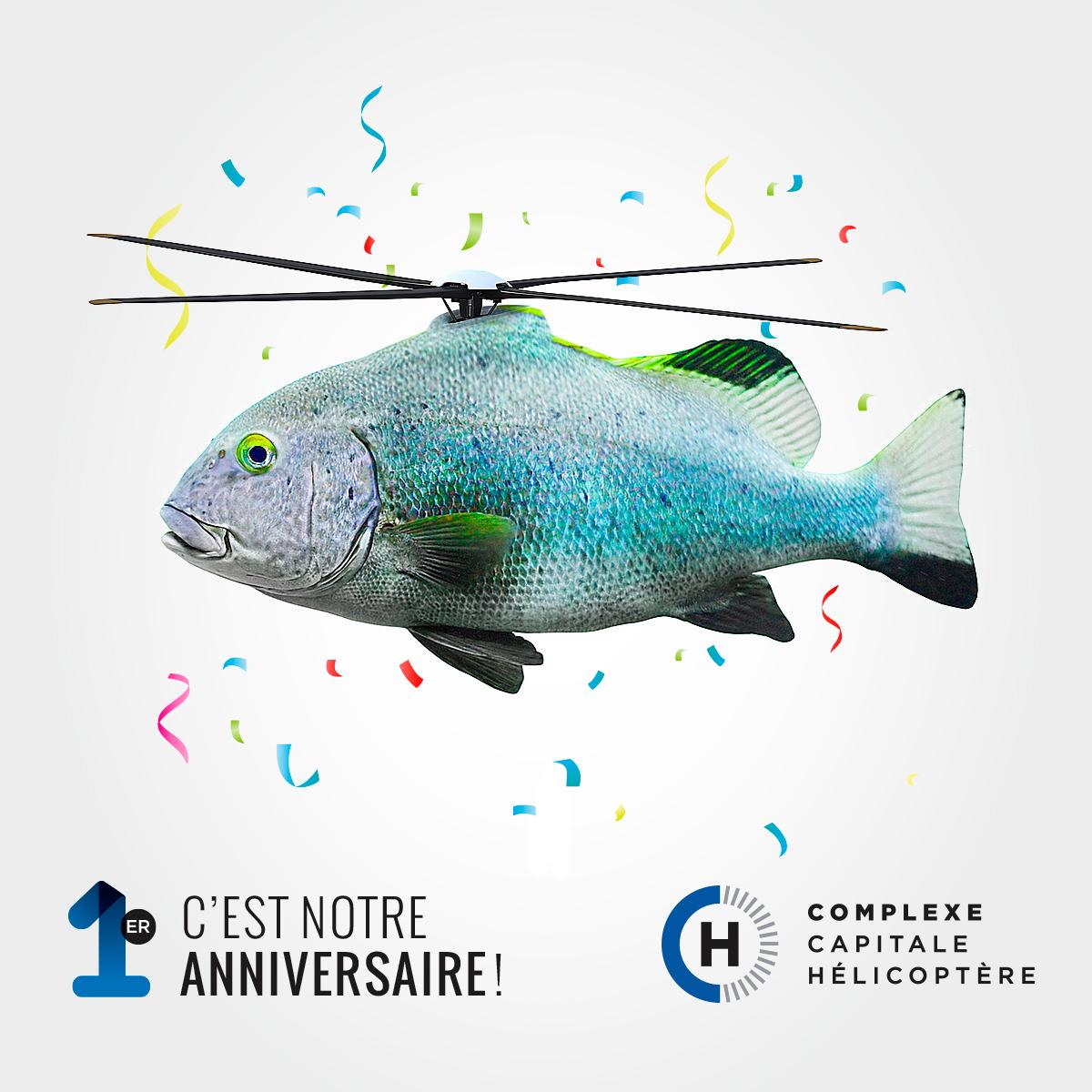 RotorNation's tweet photo. haha! Great April Fools' Day pic @ComplexeCh ! #helicopter #AprilFoolsday2015 #AprilFools #happyflying #fishcanfly http://t.co/zvjuTXO0Ag