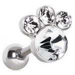Piercingss's tweet photo. Een prachtige helix oorpiercing met 1 grote CZ steen en 3 kleinere CZ stenen! Bestellen kan op http://t.co/umYhjTAH5W http://t.co/tXqAcxsJIk