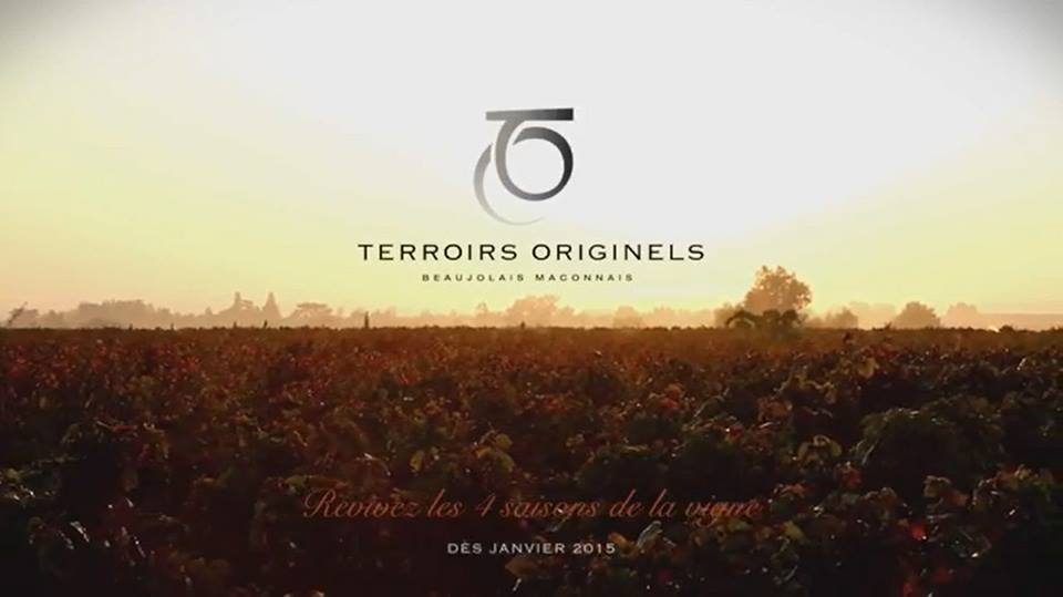 AltusFocus's tweet image. "Les 4 saisons de la vigne" par @PleinAxe (images drone @AltusFocus) : youtu.be/RFIH5YwgHjs
@TERROIRSO
