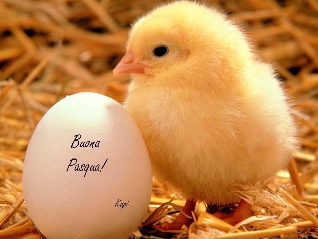 menchi07's tweet photo. @Cledera9 @KFRANCIA2 @MarinaCruzCano @palmirabg @niviareisf @vickymagia @JustMeAugusto @Tribu_WLevy2013 http://t.co/WEJL8CyaZq