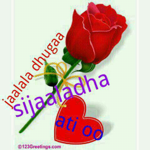 aeshabeyan's tweet photo. @athyobis http://t.co/5ok9UfJjRm