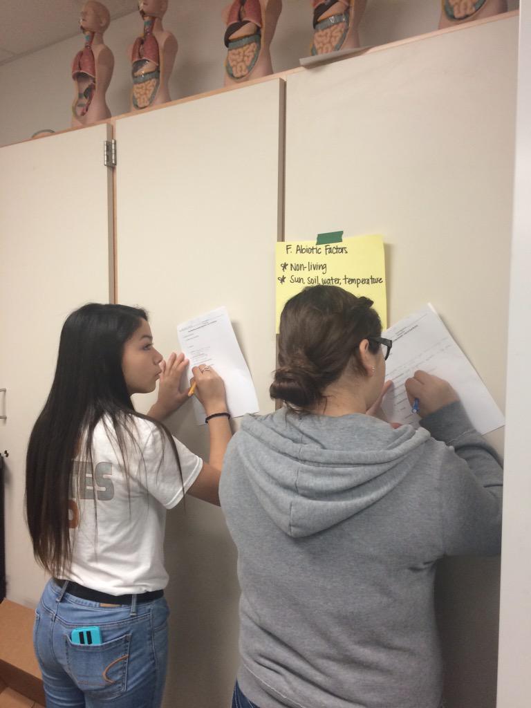 MsRuizWAMS's tweet photo. Galley walk to fill in their study guide #wamsamazingrace http://t.co/nC9gdRRkTW