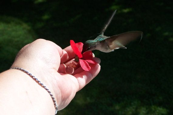 ladylefa's tweet image. Cherish every moment :)