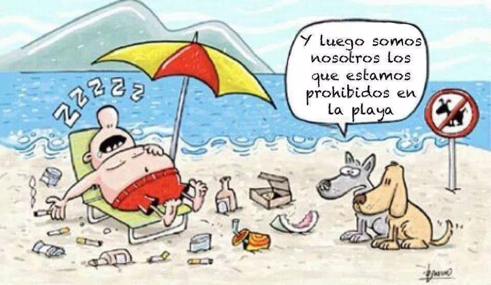 Bienvenidos al nuevo foro de apoyo a Noe #241 / 04.04.15 ~ 06.04.15 - Página 5 CBh1gcbUQAARELv