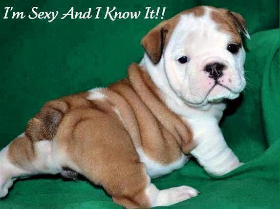 DigiovanniDonna's tweet image. 