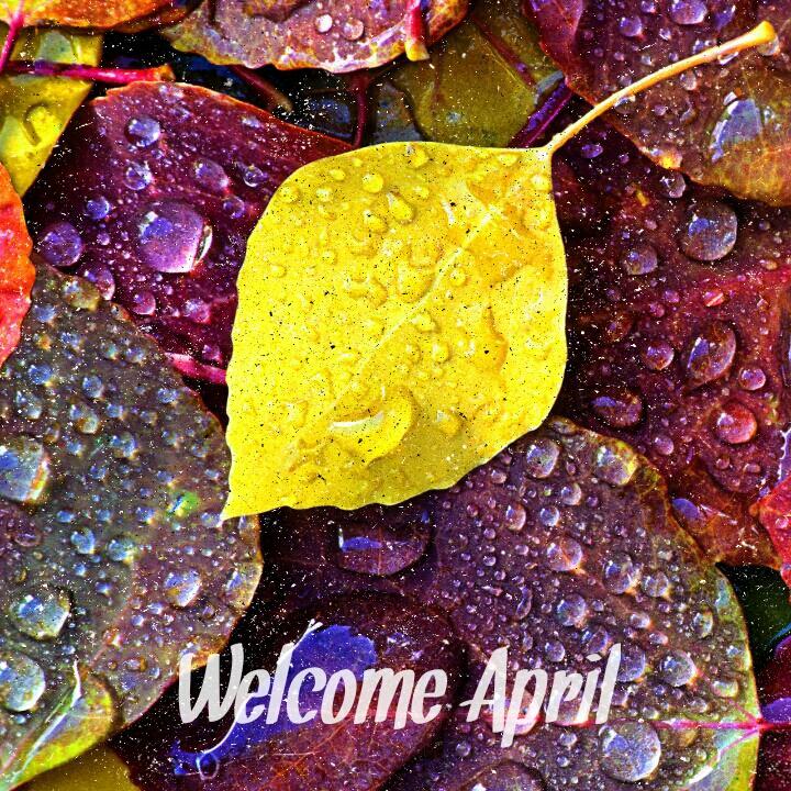 Hola a todos! Feliz miércoles y...