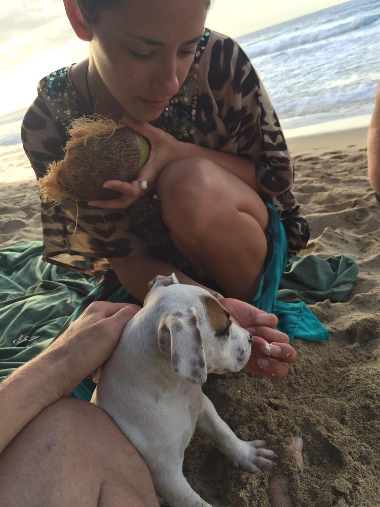 caitybryhairs's tweet photo. #freshcoconutforlunch #beachpuppynamedJim #perfectpuertoricanday http://t.co/NC9TuyvisL