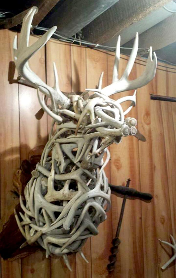 FloridaBassMag's tweet photo. BELIEVE IT... OR NOT! - A Deer Mount Made Entirely of Shed Antlers! http://t.co/IUxRKYGxqg