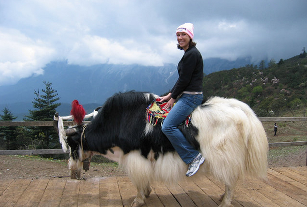 Thrillist on Twitter: "We ranked all the animals you can ride so you