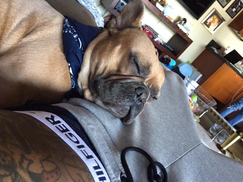 wizkhalifa's tweet photo. http://t.co/zaHT7IcOUp