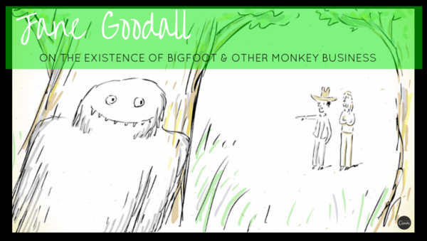  Преглед на изображението в Twitter 