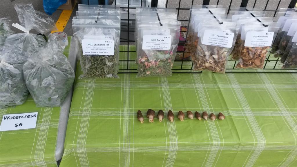 KelownaForager's tweet photo. Morel picking is a great way to stay warm on a cold spring market day http://t.co/HyWM5ftMNQ