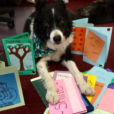 Dig Pink® tweet media