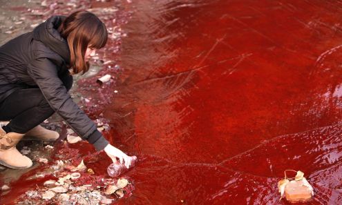 Op-Ed | Remove Toxic Chemicals and Fabrics from Fashion’s Supply Chain bof.bz/L5AQd #BoFVoices