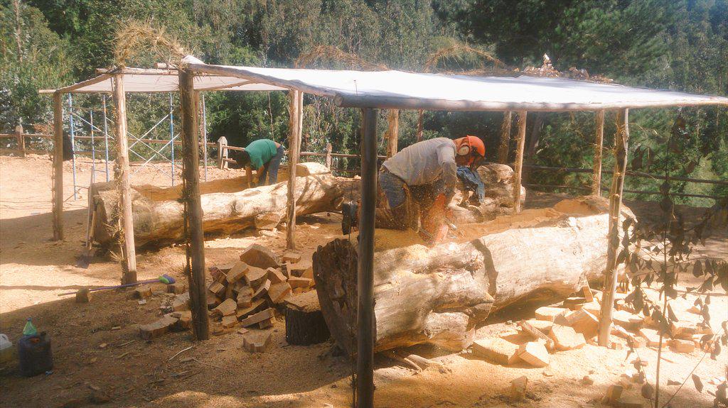 LodgeChucao's tweet photo. En pleno proceso construcción de nuestras  #TinasCalientes de troncos nativos! #Turismo #Biobío http://t.co/4bzjExhLUk