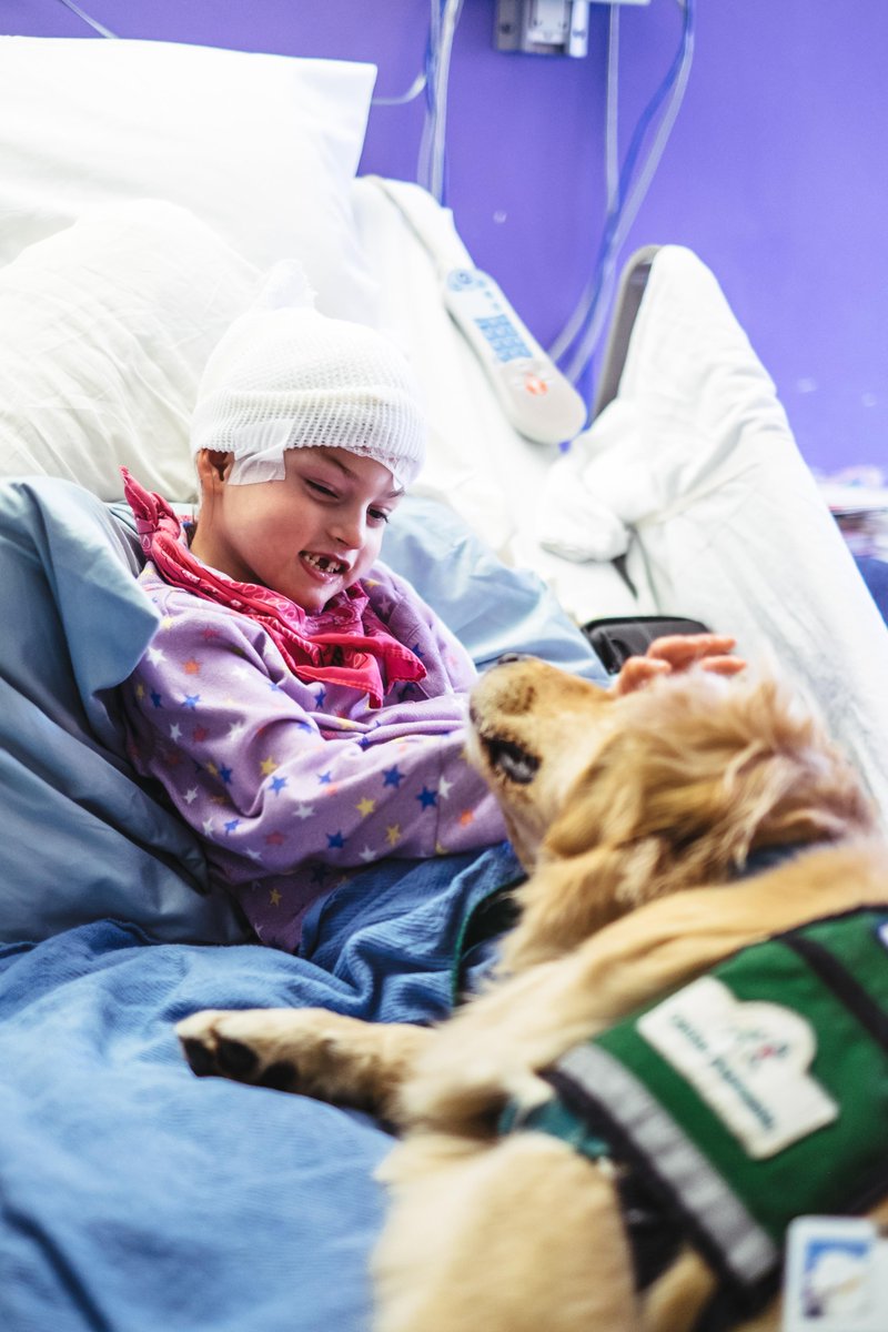 childrensatl's tweet photo. She thinks we make her day. Trust us, it's the other way around. #CHOATherapyDogs http://t.co/SjTxbxNIkb