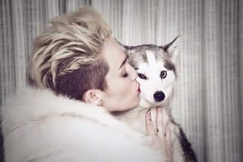 HmYaressi's tweet photo. Hoy un año de la muerte de Floyd:( #RIPFloydCyrus http://t.co/DcIwSqvJWT